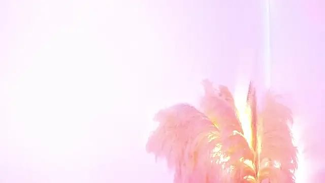 amelie murphy  online show from February 2, 2025, 5:04 pm