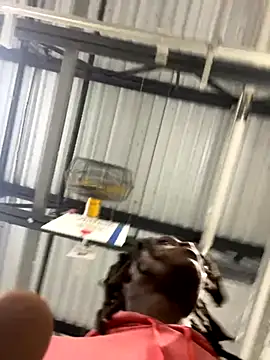 Snapshot of sneakylink13__ chatting on October 20, 2025, 1:17 am sneakylink13   online show from October 20, 2025, 1:17 am