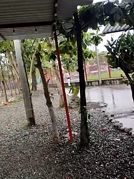 BeetledFlouter12 online show from September 26, 2025, 7:07 pm