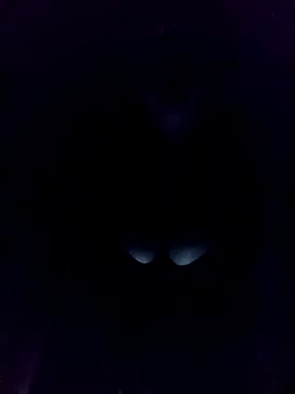 Romayssae Ali-Arabic online show from December 3, 2024, 12:24 am