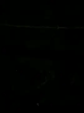 SnapIDRakesh4 online show from November 27, 2025, 8:22 pm