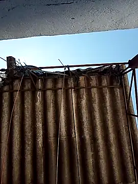 Snapshot of Percybr4561 chatting on October 25, 2025, 1:29 pm Percybr4561 online show from October 25, 2025, 1:29 pm