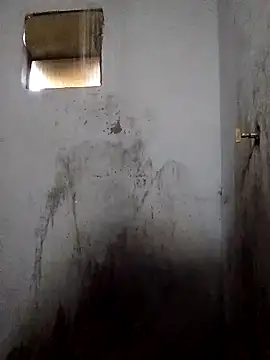 Snapshot of Percybr4561 chatting on November 1, 2025, 1:13 pm Percybr4561 online show from November 1, 2025, 1:13 pm