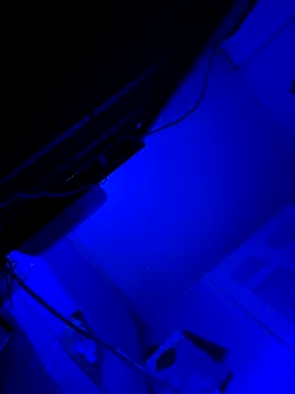 hotNReady6969 online show from October 10, 2025, 10:14 am