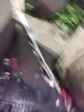 Alokraj373990 online show from November 1, 2025, 7:16 pm