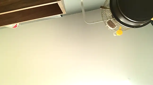 themany29 online show from January 27, 2025, 8:17 pm