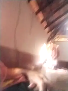 Snapshot of rajshank chatting on December 29, 2024, 10:01 am rajshank online show from December 29, 2024, 10:01 am