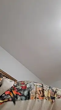 goldycox online show from January 18, 2025, 2:58 am