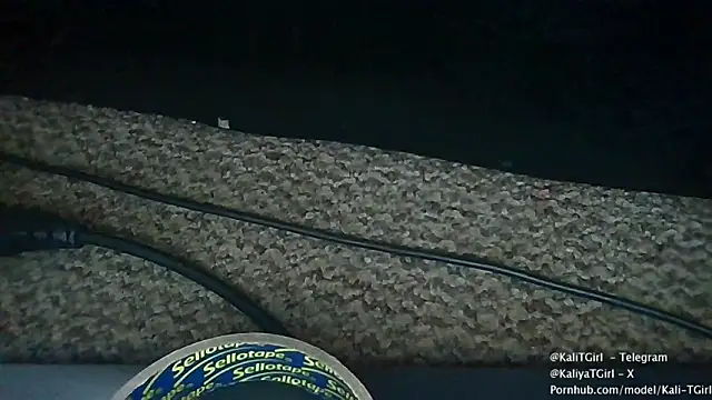 Snapshot of KaliTs chatting on November 22, 2025, 12:37 pm KaliTs online show from November 22, 2025, 12:37 pm