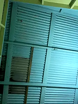 Snapshot of islandvybee55 chatting on December 16, 2025, 5:01 am islandvybee55 online show from December 16, 2025, 5:01 am