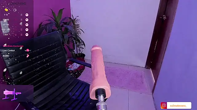  sulmatevans  online show from January 19, 2025, 5:49 pm