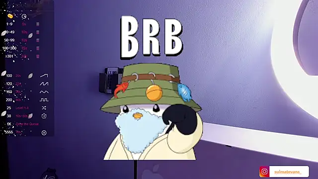  sulmatevans  online show from January 24, 2025, 11:48 am