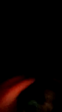 Snapshot of doggiepossession chatting on March 7, 2025, 2:45 pm doggiepossession online show from March 7, 2025, 2:45 pm