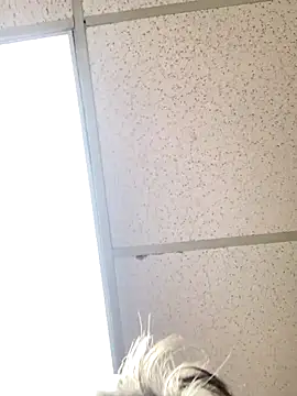 Tonybaloney1972 online show from October 31, 2025, 8:54 pm