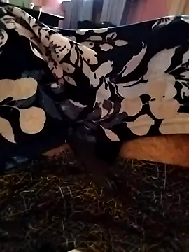 Snapshot of indian___fucker chatting on September 23, 2025, 10:07 am indian   fucker online show from September 23, 2025, 10:07 am