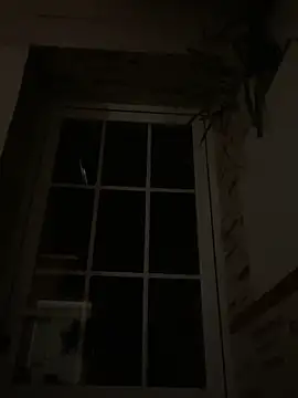 Imperial 10 online show from December 6, 2024, 2:46 am