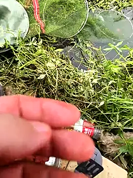 Snapshot of huzi518 chatting on October 25, 2025, 3:36 am huzi518 online show from October 25, 2025, 3:36 am