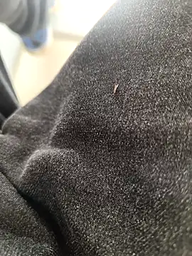 Snapshot of huzi518 chatting on November 3, 2025, 3:30 am huzi518 online show from November 3, 2025, 3:30 am