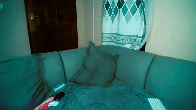 GoldenPussyXOXO online show from December 5, 2024, 11:40 pm