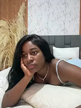 Snapshot of AkiraHomers chatting on December 17, 2024, 4:56 am AkiraHomers online show from December 17, 2024, 4:56 am