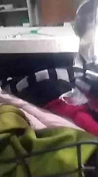 6MataGarcia online show from December 17, 2024, 1:50 am