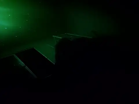 6MataGarcia online show from November 7, 2025, 11:10 am