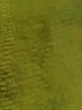 sadunt online show from December 17, 2025, 9:26 am