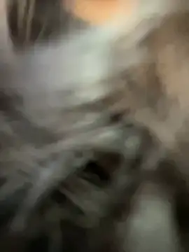 Snapshot of Chloe__Moon chatting on January 17, 2025, 11:27 am Chloe Moon online show from January 17, 2025, 11:27 am