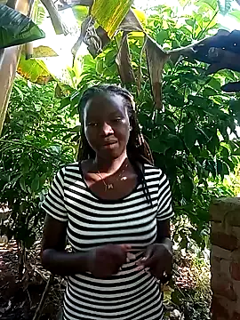 Black juicy24 online show from February 5, 2025, 6:13 am