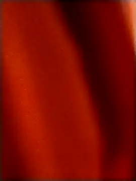 rohitlov150 online show from December 18, 2025, 4:24 pm