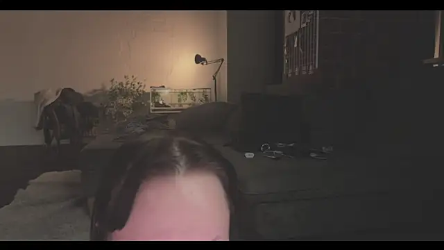 Snapshot of vinylstore chatting on January 22, 2025, 3:40 pm vinylstore online show from January 22, 2025, 3:40 pm