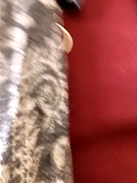 Snapshot of Ananya_34 chatting on December 3, 2025, 3:14 am Ananya 34 online show from December 3, 2025, 3:14 am