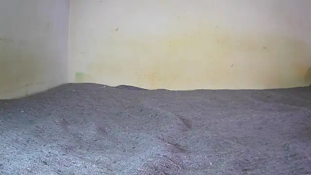 fern tlk online show from December 24, 2024, 7:11 pm