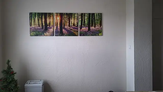 Harry Boldt online show from December 30, 2024, 10:10 am