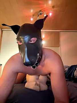 PlayDog123 online show from November 27, 2025, 4:42 pm