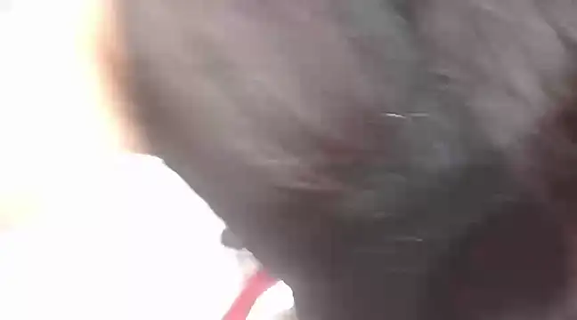 viki mom online show from January 21, 2025, 10:08 pm