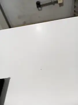 Snapshot of lobomisterioso13 chatting on December 16, 2024, 7:48 am lobomisterioso13 online show from December 16, 2024, 7:48 am