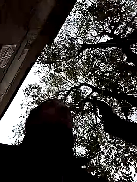 openlegsforyou online show from November 22, 2025, 10:03 am