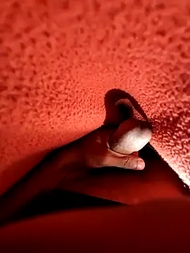 Ssdhaka11 online show from December 25, 2024, 7:13 pm