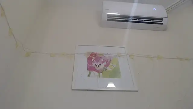 Snapshot of Only_Mane chatting on January 14, 2025, 2:53 pm Only Mane online show from January 14, 2025, 2:53 pm