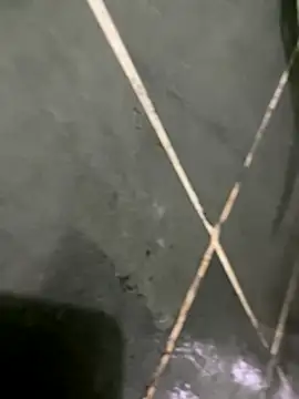 gzn01 online show from October 30, 2025, 7:03 pm