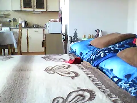 Snapshot of Lisak951 chatting on December 11, 2024, 9:30 am Lisak951 online show from December 11, 2024, 9:30 am