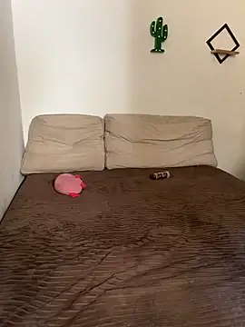 Snapshot of pepsicolacouple chatting on November 13, 2025, 5:56 pm pepsicolacouple online show from November 13, 2025, 5:56 pm