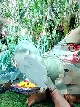 Betty20zx online show from November 12, 2025, 2:01 am