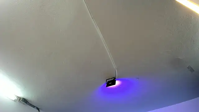 Amy Kiitty  online show from November 21, 2025, 12:37 pm