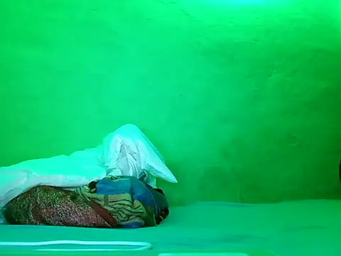 Snapshot of ruygw chatting on February 4, 2025, 8:13 am ruygw online show from February 4, 2025, 8:13 am