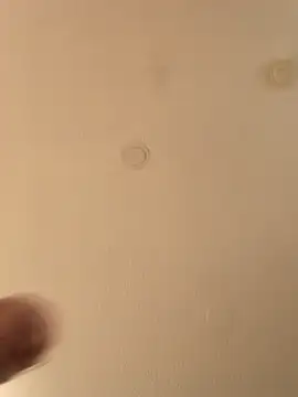 Snapshot of geilerschwanz64 chatting on December 4, 2024, 2:42 am geilerschwanz64 online show from December 4, 2024, 2:42 am