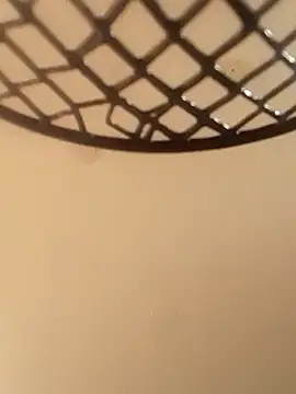 Snapshot of geilerschwanz64 chatting on December 24, 2024, 8:55 am geilerschwanz64 online show from December 24, 2024, 8:55 am