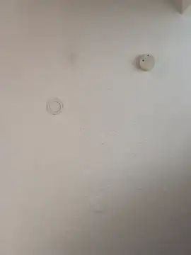 Snapshot of geilerschwanz64 chatting on January 5, 2025, 12:10 pm geilerschwanz64 online show from January 5, 2025, 12:10 pm