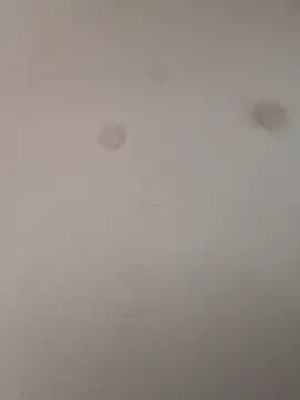 Snapshot of geilerschwanz64 chatting on January 9, 2025, 9:05 pm geilerschwanz64 online show from January 9, 2025, 9:05 pm